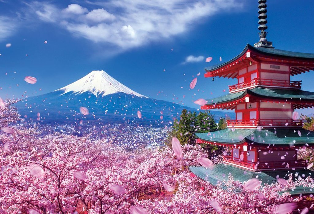 【现货】beverly日本进口拼图300片富士山的樱花