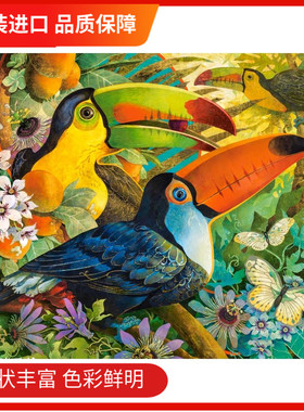 现货 大嘴鸟castorland波兰进口拼图3000片