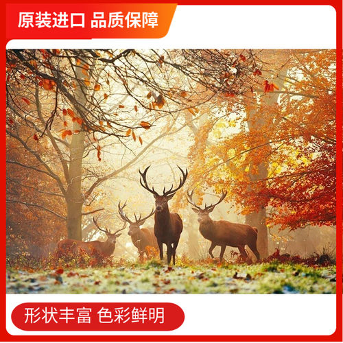heye现货1000片德国进口林中拼图