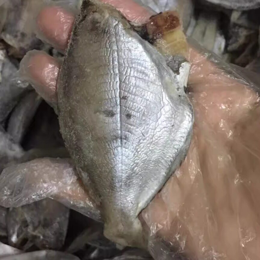 2斤装包邮一斤装肉鲳鱼小肉鲳鱼去头福建特产油炸好吃咸肉鲳鱼