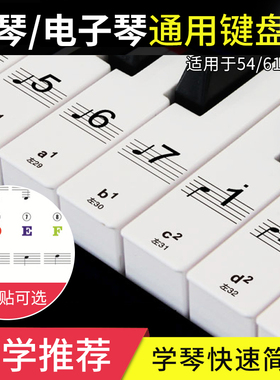 37 49 61 88键钢琴电子琴琴键音符标示贴纸彩色透明键盘贴