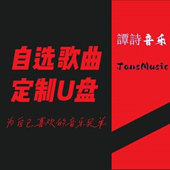 车载音乐U盘高音质MP3无损FLAC/WAV带歌词及封面赠送歌曲免费定制