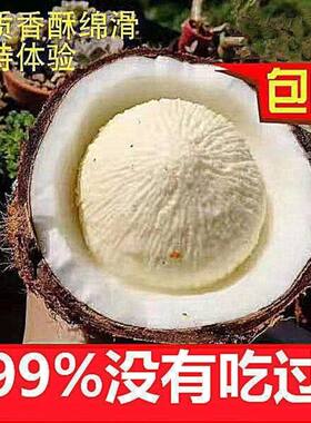 海南新鲜椰宝正宗发芽老椰子肉当季现摘新鲜孕妇水果椰汁椰皇包邮