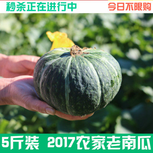 稻和 东北绿色窝瓜南瓜 5斤 优惠券折后￥13.8包邮（￥18.8-5）