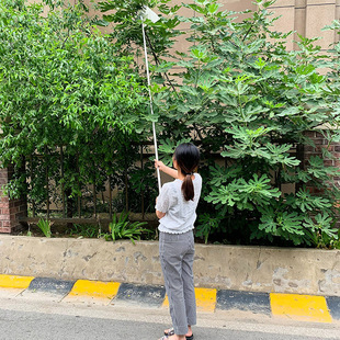 杨梅伸缩不锈钢摘果器果多功能采杏子神器高枝剪香摘果剪椿高空剪