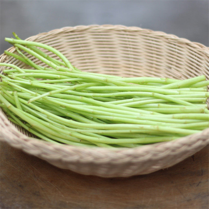新鲜芦蒿  芦蒿  散装芦蒿 500g  一斤装  京津冀任意6件包邮