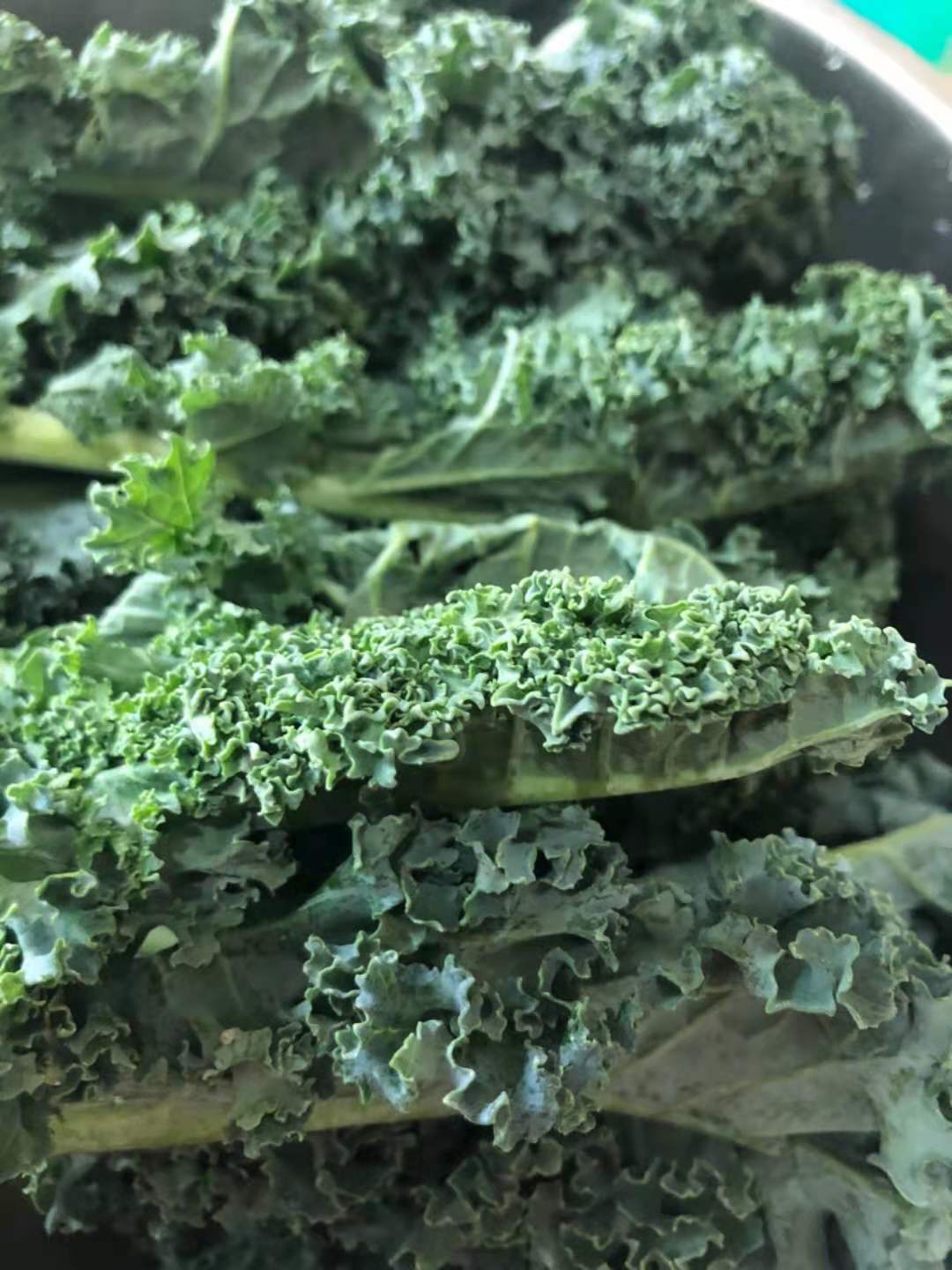 新鲜羽衣甘蓝 500g  新鲜蔬菜 京津冀任意6件包邮顺丰