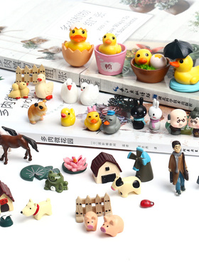 微景观多肉植物生态瓶diy材料