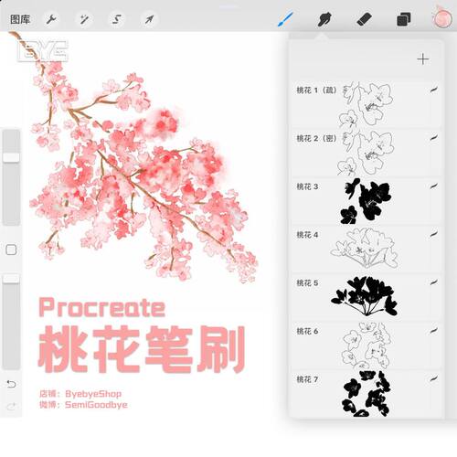 procreate桃花樱花笔刷 可商用花卉素材 ByebyeShop