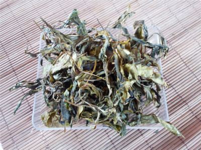 古树纯料黄叶片普洱茶