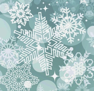 多肉零下地区必拍 保温链接 保温箱 保温膜