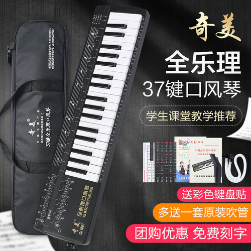 奇美乐理专业演奏级男女口风琴