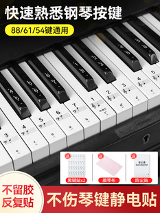 纳米钢琴键盘贴88 54键通用电子琴电钢琴初学儿童简谱音符贴纸