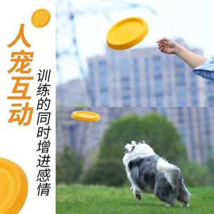 狗狗玩具小狗小型犬边牧飞盘狗专用飞盘户外训狗耐咬飞碟解闷神器