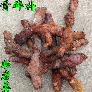500克湖南张家界中药材 天然骨碎补 毛姜 爬岩姜 石岩姜 新鲜
