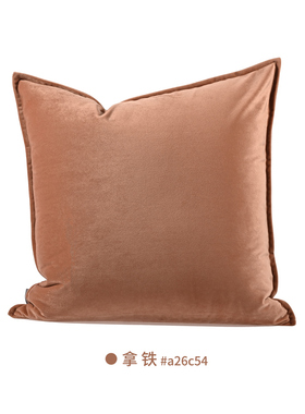 『莫兰迪』高端真丝绒天鹅绒拿铁色肉色粉红色抱枕方枕腰枕样板间