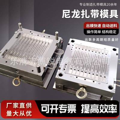 厂家直销尼龙扎带模具制造中心供应5X30032尼龙扎带模具半固定式