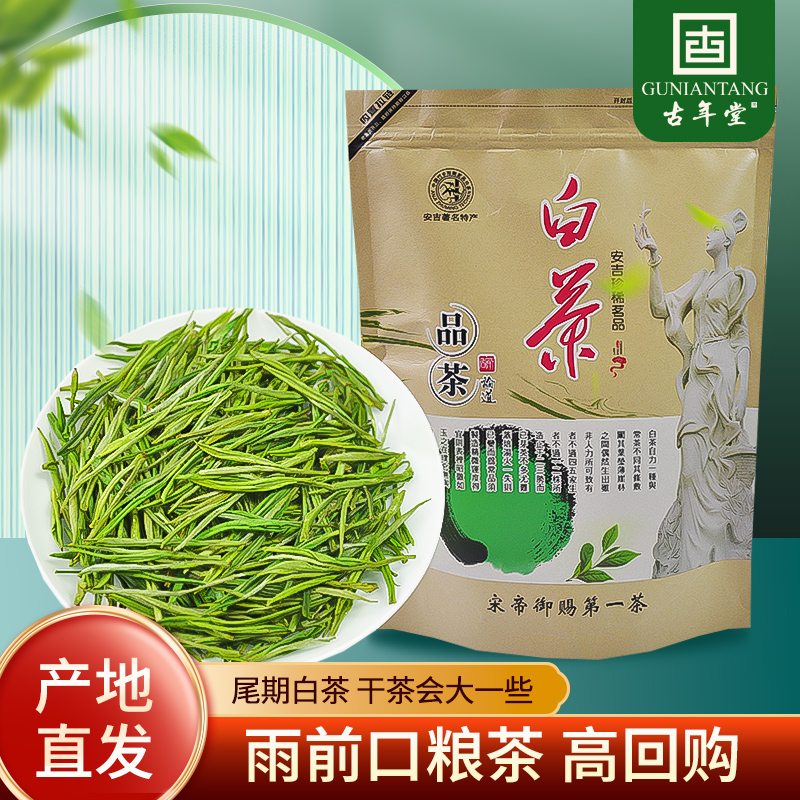 古年堂正宗安吉白茶雨前新茶