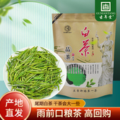 2025年新茶正宗安吉白茶雨前嫩芽浓香型绿茶袋装 共半斤250g自己喝