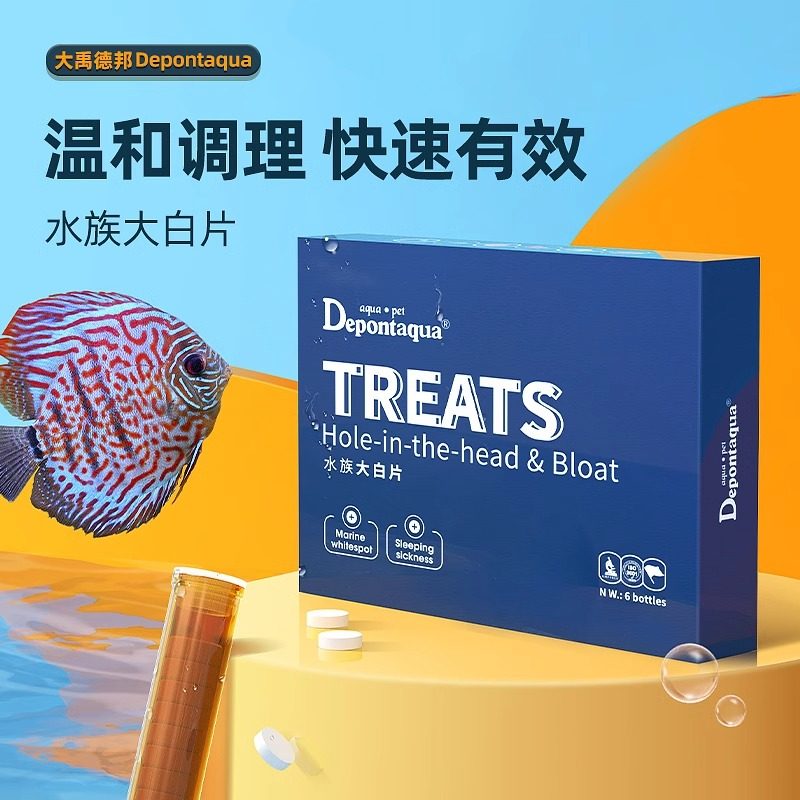 鱼缸水族观赏鱼肠炎内寄头洞