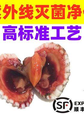 科学净化血蛤24小时净化