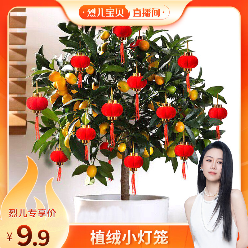 【烈儿宝贝直播间】新款2025小红灯笼挂饰植绒盆栽树上挂件元旦