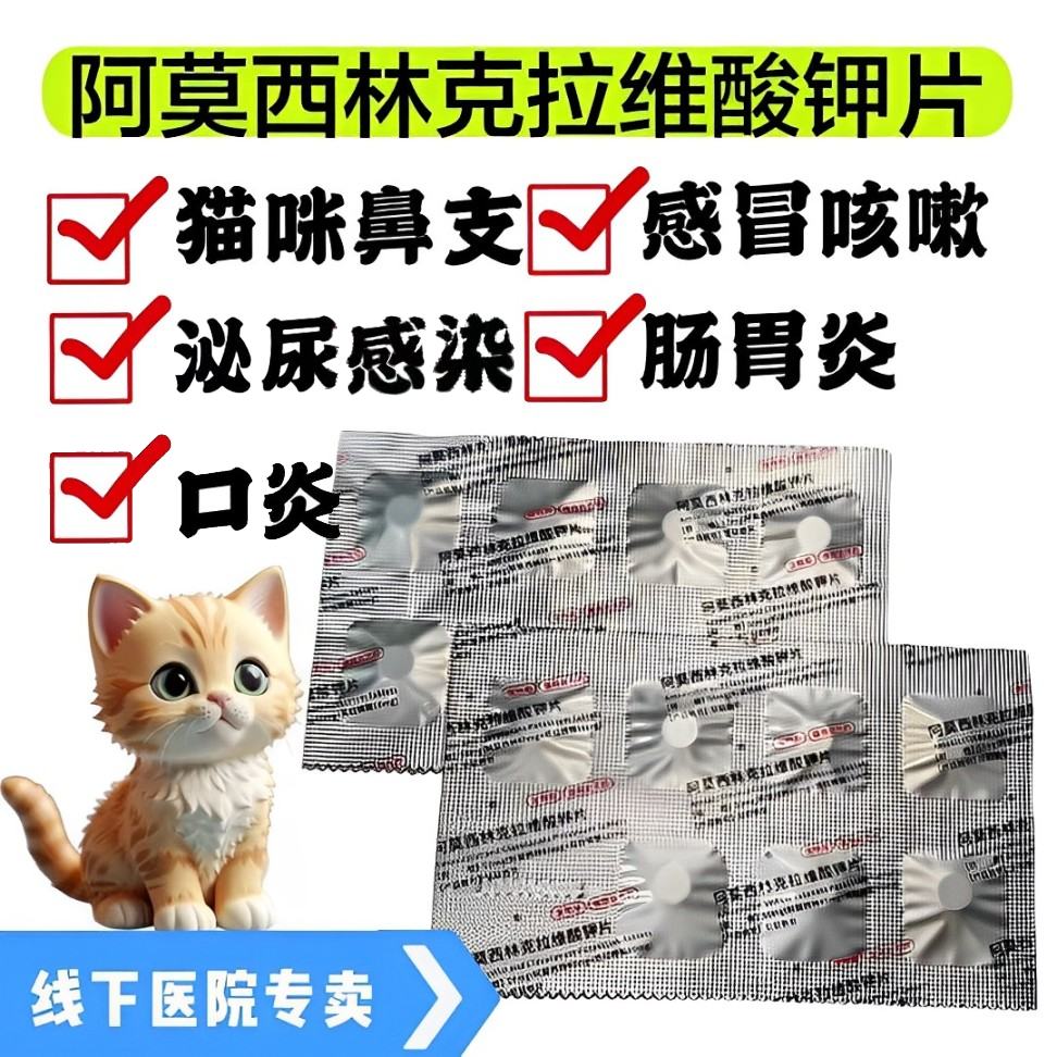 猫狗感冒药阿莫西林感冒流鼻涕