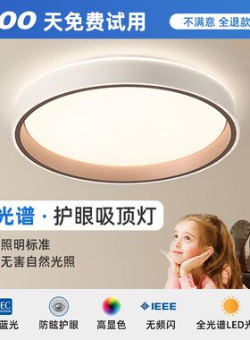广东中山LED吸顶灯卧室灯客厅灯简约现代大气节能圆极简阳台灯具