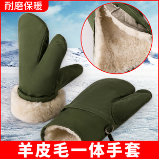 冬季羊皮手套老款军绿加厚五指羊皮手套防风防寒男女骑行棉手套