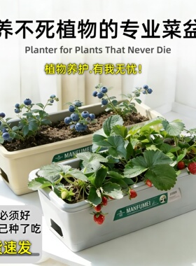 种菜盆加厚长条塑料盆家用花盆