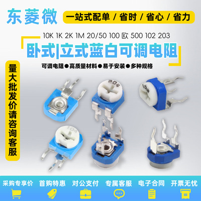 rm065蓝白可调电阻卧式/立式063