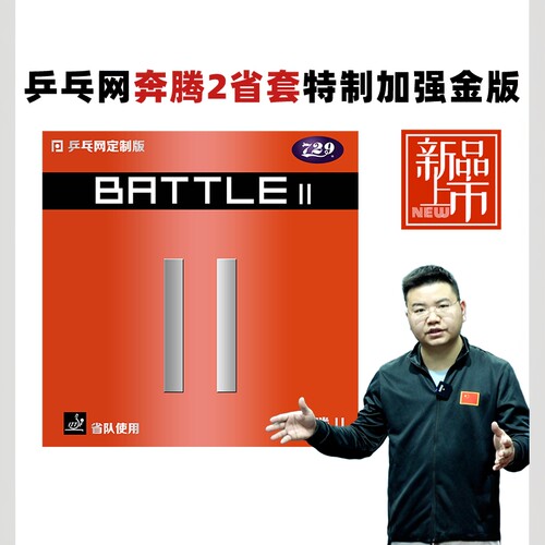 乒乓网奔腾2省队金版特制套胶