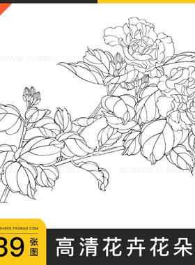 牵牛花梨花桃花杜鹃花朵花卉高清线稿白描工笔画美术绘画临摹素材