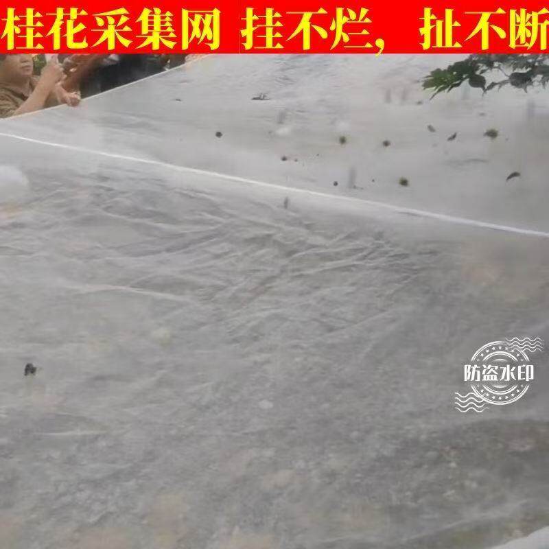 果子青梅采收专用可包树根落地网敲八角桂花专用铺地收集网可定制
