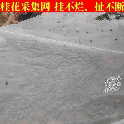 果树桂花落地网可包树根可定制