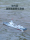 Новый стартовый линкор с дистанционным управлением Nanchang simulation destroyer электрическая игрушечная лодка с дистанционным управлением для мальчиков военная модель mini 4