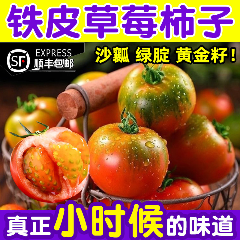 铁皮柿子草莓柿子番茄绿腚油柿新鲜水果碱地西红柿自然熟顺丰包邮