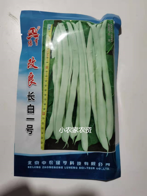 绿亨改良长白一号架豆种子不老豆四季豆种子 菜豆种子 白色无纤维图片