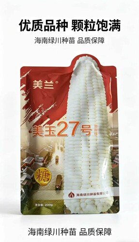 美玉 27号加甜糯玉米种子 200g 原装正品 白糯玉米大棒高产春秋播