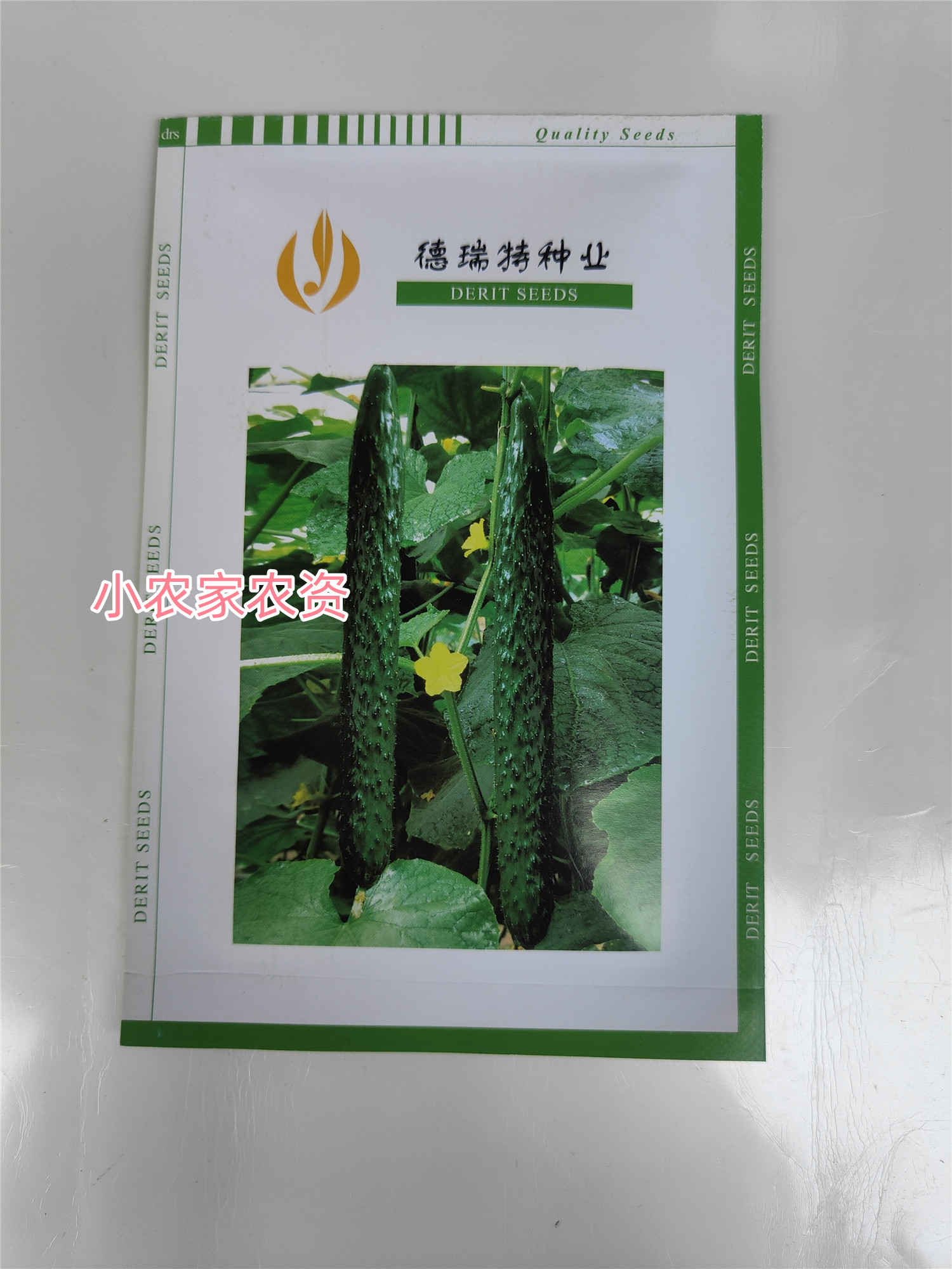 德瑞特种业德尔26黄瓜种子密刺油亮型强雌品种耐寒好耐弱光抗病强