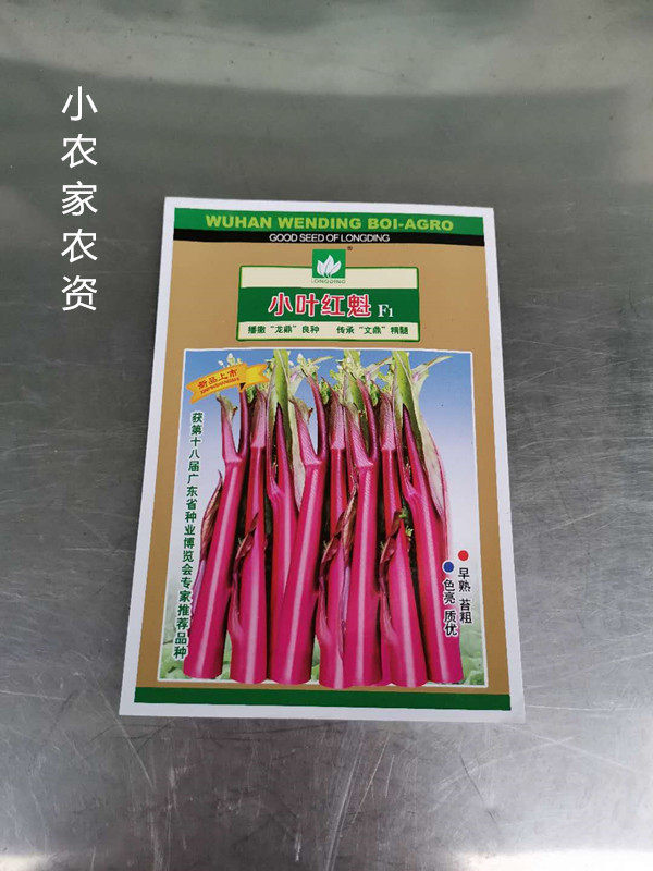武汉文鼎农业 小叶红魁F1 红菜苔种子高产紫红菜苔四季蔬菜孑杂交