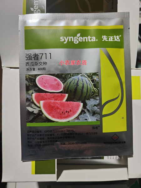 先正达强者711西瓜种子 高产抗病大西瓜 400粒2022新种子口感好
