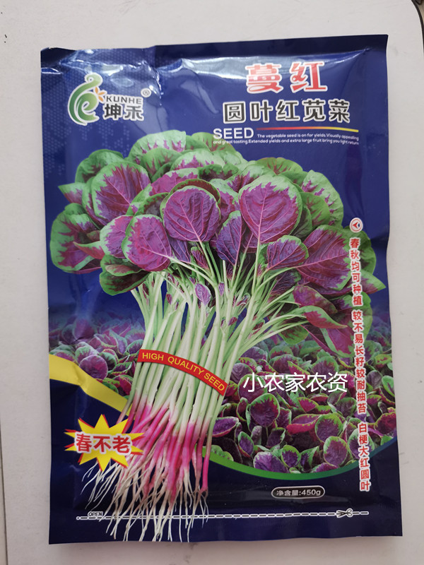 上海坤禾种业 蔓红 红苋菜春不老苋菜种籽一点红苋菜早熟高产蔬菜图片