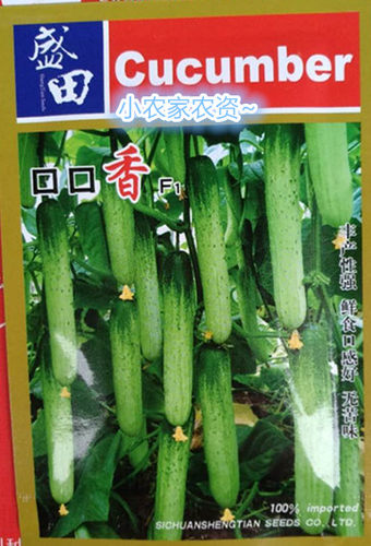 特早熟 全雌性系  连续坐果能力强 植株长势强