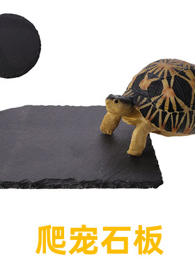 爬宠箱造景天然石板凉垫