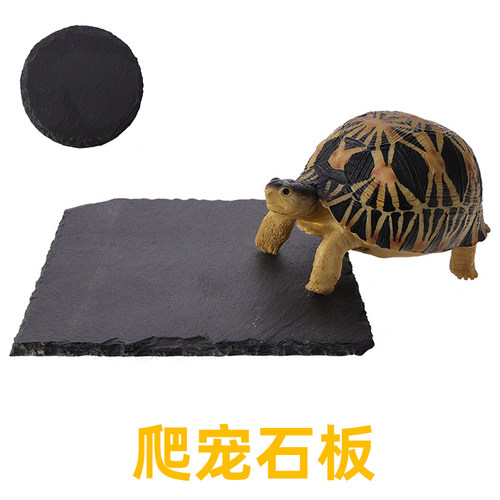 爬宠箱造景天然石板凉垫