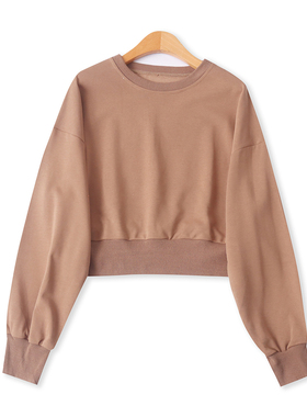 毛圈薄卫衣春季新款外贸女装休闲圆领螺纹拼接长袖短款上衣19210