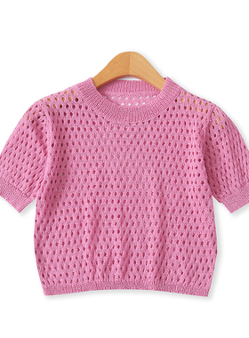 镂空纱线T恤秋季新款外贸女装时尚短款修身圆领半透短袖上衣18982