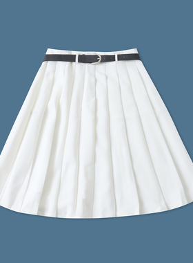 百褶半身裙春夏新款外贸女装时尚百搭高腰侧拉链显瘦A字短裙19354