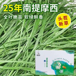 25年新烘干提摩西草南提草全叶兔子干草粮兔饲料龙猫荷兰猪牧草